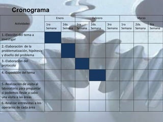 Cronograma
                                     Enero                 Febrero                      Marzo
         Actividades            1ra      2da.     1ra      2da.      3ra      1ra      2da.     3ra
                                Semana   Semana   Semana   Semana    Semana   Semana   Semana   Semana

1.-Elecciòn del tema a
investigar
2.-Elaboraciòn de la
problematización, hipótesis
y diseño del problema
3.-Elaboraciòn del
protocolo
4.-Exposiciòn del tema


5.-Realizaciòn de visita al
laboratorio para preguntar
si podemos llevar a cabo
una visita a las áreas
6.-Realizar entrevistas a los
operarios de cada área
 