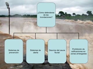 ¿Cómo defenderse
                           de las
                       inundaciones?




                                                      Prohibición de
Sistemas de   Sistemas de       Desvíos del cauce
                                                     edificaciones en
prevención        alerta             fluvial
                                                    zonas arriesgadas
 