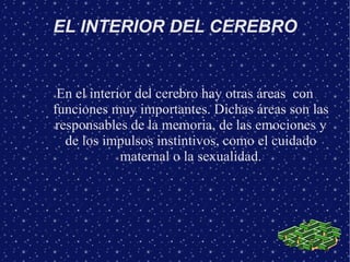 EL INTERIOR DEL CEREBRO


 En el interior del cerebro hay otras áreas con
funciones muy importantes. Dichas áreas son las
responsables de la memoria, de las emociones y
  de los impulsos instintivos, como el cuidado
             maternal o la sexualidad.
 