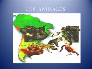 LOS ANIMALES