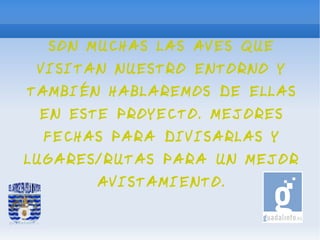 SON MUCHAS LAS AVES QUE
 VISITAN NUESTRO ENTORNO Y
TAMBIÉN HABLAREMOS DE ELLAS
 EN ESTE PROYECTO. MEJORES
 FECHAS PARA DIVISARLAS Y
LUGARES/RUTAS PARA UN MEJOR
       AVISTAMIENTO.
 
