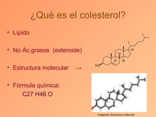 ¿Qué es el colesterol?
• Lípido

• No Ác.grasos (esteroide)

• Estructura molecular   →

• Fórmula química:
     C27 H46 O


                             Imágenes: Estructura molecular
 