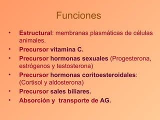 Funciones
•   Estructural: membranas plasmáticas de células
    animales.
•   Precursor vitamina C.
•   Precursor hormonas sexuales (Progesterona,
    estrógenos y testosterona)
•   Precursor hormonas coritoesteroidales:
    (Cortisol y aldosterona)
•   Precursor sales biliares.
•   Absorción y transporte de AG.
 
