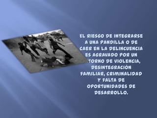 El riesgo de integrarse
  a una pandilla o de
caer en la delincuencia
  es agravado por un
 entorno de violencia,
     desintegración
familiar, criminalidad
       y falta de
   oportunidades de
      desarrollo.
 