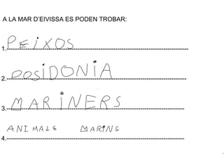 A LA MAR D’EIVISSA ES PODEN TROBAR: 1.--------------------------------------------------------------------------------------- 2.-------------------------------------------------------------------------------------- 3.------------------------------------------------------------------------------------- 4.------------------------------------------------------------------------------------- 