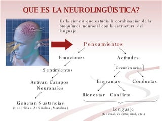 QUE ES LA NEUROLINGÜISTICA? Es la ciencia que estudia la combinación de la bioquímica neuronal con la estructura  del lenguaje. Engramas Lenguaje (Gestual, escrito, oral, etc.) Conductas Bienestar Conflicto Pensamientos Emociones Sentimientos Activan Campos  Neuronales Generan Sustancias (Endorfinas, Adrenalina, Mixtalina) Actitudes Circunstancias 