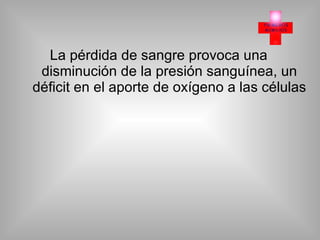 La pérdida de sangre provoca una disminución de la presión sanguínea, un déficit en el aporte de oxígeno a las células 