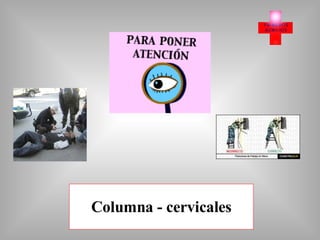 Columna - cervicales 