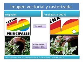 Imagen vectorial y rasterizada.
Originales                                       Ampliadas al 200 %



                                    Vectorial.




                                  Rasterizada o
                                  mapa de bits.




La imagen vectorial no pierde ni calidad ni resolución. La rasterizada sí.
 