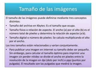 Tamaño de las imágenes
El tamaño de las imágenes puede definirse mediante tres conceptos
    distintos:
• Tamaño del archivo en Kbytes: Es el tamaño que ocupa.
• Tamaño físico o relación de aspecto. El ancho (a) por el alto (b) es el
    número total de píxeles y determina la relación de aspecto (a:b).
• Tamaño digital o número de píxeles: Se calcula multiplicando el alto
    por el ancho.
Los tres tamaños están relacionados y varían conjuntamente.
• Para publicar una imagen en internet su tamaño debe ser pequeño.
    Sin embargo, para calcular el tamaño óptimo para imprimir una
    imagen sin perder nitidez se divide el ancho en píxeles entre la
    resolución de la imagen en dpi (dots per inch) o ppp (puntos por
    pulgada). El resultado son las pulgadas que medirá la imagen.
 