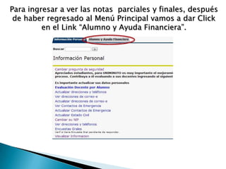 Para ingresar a ver las notas parciales y finales, después
 de haber regresado al Menú Principal vamos a dar Click
         en el Link “Alumno y Ayuda Financiera”.
 
