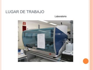 LUGAR DE TRABAJO
Laboratorio
