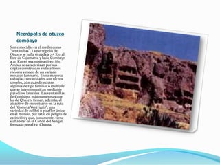 Necrópolis de otuzco
comóayo
Son conocidas en el medio como
"ventanillas". La necrópolis de
Otuzco se halla situada a 7,5 Km al
Este de Cajamarca y la de Combayo
a 20 Km en esa misma dirección.
Ambas se caracterizan por sus
criptas construidas en farallones
rocosos a modo de un variado
mosaico funerario. En su mayoría
todas las concavidades son nichos
simples, aún cuando existen
algunos de tipo familiar o múltiple
que se intercomunican mediante
pasadizos laterales. Las ventanillas
de Combayo, más numerosas que
las de Qtuzco, tienen, además, el
atractivo de encontrarse en la ruta
del "Cometa Ventrigris", una
variedad de colibrí o picaflor única
en el mundo, por estar en peligro de
extinción y que, justamente, tiene
su hábitat en el Cañón del Sangal
formado por el río Chonta.
 
