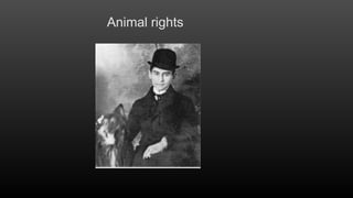 Animal rights

 