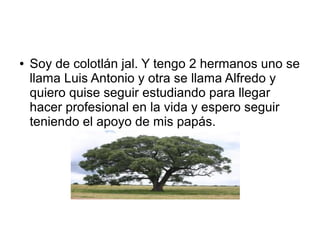 ●

Soy de colotlán jal. Y tengo 2 hermanos uno se
llama Luis Antonio y otra se llama Alfredo y
quiero quise seguir estudiando para llegar
hacer profesional en la vida y espero seguir
teniendo el apoyo de mis papás.

 