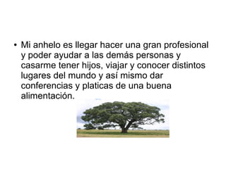 ●

Mi anhelo es llegar hacer una gran profesional
y poder ayudar a las demás personas y
casarme tener hijos, viajar y conocer distintos
lugares del mundo y así mismo dar
conferencias y platicas de una buena
alimentación.

 