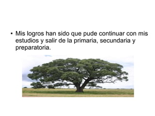 ●

Mis logros han sido que pude continuar con mis
estudios y salir de la primaria, secundaria y
preparatoria.

 