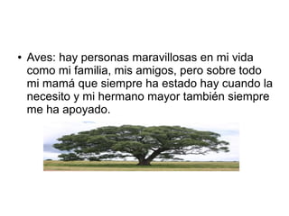 ●

Aves: hay personas maravillosas en mi vida
como mi familia, mis amigos, pero sobre todo
mi mamá que siempre ha estado hay cuando la
necesito y mi hermano mayor también siempre
me ha apoyado.

 