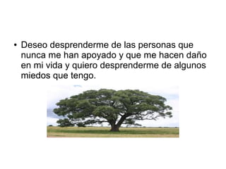 ●

Deseo desprenderme de las personas que
nunca me han apoyado y que me hacen daño
en mi vida y quiero desprenderme de algunos
miedos que tengo.

 