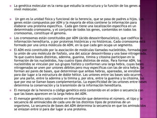 

La genética molecular es la rama que estudia la estructura y la función de los genes a
nivel molecular.



Un gen es la unidad física y funcional de la herencia, que se pasa de padres a hijos. Los
genes están compuestos por ADN y la mayoría de ellos contiene la información para
elaborar una proteína específica. Cada gen tiene una localización específica en un
determinado cromosoma, y el conjunto de todos los genes, contenidos en todos los
cromosomas, constituye el genoma.
Los cromosomas están constituidos por ADN (ácido desoxirribonucleico), que codifica la
información hereditaria, y por proteínas histónicas y no histónicas. Cada cromosoma está
formado por una única molécula de ADN, en la que cada gen ocupa un segmento.
El ADN está constituido por la asociación de moléculas llamadas nucleótidos, formadas por
la unión de una molécula de fosfato, una del azúcar desoxirribosa y una base nitrogenada.
Ya que cuatro bases distintas, adenina, guanina, timina y citosina participan en la
formación de los nucleótidos, hay cuatro tipos distintos de estos. Para formar ADN, los
nucleótidos se vinculan por sus grupos fosfato y conforman una larga hebra, cuyas bases
nitrogenadas se unen por uniones débiles pero muy específicas con las de otra hebra. Se
forman así pares de bases, que determinan que ambas hebras, apareadas, se enrollen
para dar lugar a la estructura de doble hélice. Las uniones entre las bases solo ocurren,
por una parte, entre la adenina y la timina y, por otra, entre la guanina y la citosina, las
que por eso se llaman bases complementarias. La especificidad de las uniones entre bases
determina la conservación y la transmisión de la información hereditaria.
El mensaje de la herencia o código genético está contenido en el orden o secuencia con
que las bases aparecen en la larga hebra del ADN.
El mensaje genético solo consiste en información que determina el número, el tipo y la
secuencia de aminoácidos de cada uno de los distintos tipos de proteínas de un
organismo, La secuencia de bases del ADN determina la secuencia en que los aminoácidos
se enlazan entre sí para dar lugar a una proteína.








 