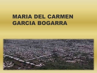 MARIA DEL CARMEN
GARCIA BOGARRA
 