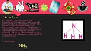 Amoniaco
La cantidad de amoníaco producido
industrialmente cada año es casi igual a la
producida por la naturaleza. El amoníaco es
producido naturalmente en el suelo
por bacterias, por plantas y animales en
descomposición y por desechos animales. El
amoníaco es esencial para muchos
procesos biológicos. El resto que no usado
como abono se utiliza para textiles , plásticos
, explosivos etc.
Su formula es:
NH3
 