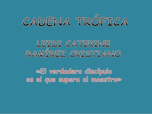 cadenas y redes troficas introduccion cadena trofica cadenas y redes troficas introduccion cadena trofica