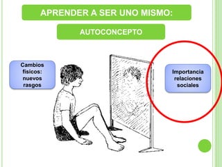 APRENDER A SER UNO MISMO:
AUTOCONCEPTO
Cambios
físicos:
nuevos
rasgos
Importancia
relaciones
sociales
 