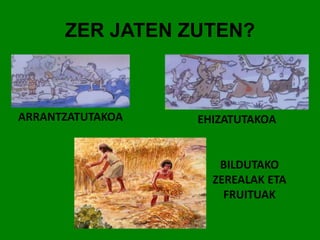 ZER JATEN ZUTEN? 
ARRANTZATUTAKOA EHIZATUTAKOA 
BILDUTAKO 
ZEREALAK ETA 
FRUITUAK 
 