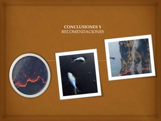 CONCLUSIONES Y
RECOMENDACIONES