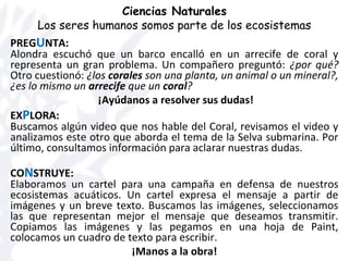 PREGUNTA:
Alondra escuchó que un barco encalló en un arrecife de coral y
representa un gran problema. Un compañero preguntó: ¿por qué?
Otro cuestionó: ¿los corales son una planta, un animal o un mineral?,
¿es lo mismo un arrecife que un coral?
¡Ayúdanos a resolver sus dudas!
EXPLORA:
Buscamos algún video que nos hable del Coral, revisamos el video y
analizamos este otro que aborda el tema de la Selva submarina. Por
último, consultamos información para aclarar nuestras dudas.
CONSTRUYE:
Elaboramos un cartel para una campaña en defensa de nuestros
ecosistemas acuáticos. Un cartel expresa el mensaje a partir de
imágenes y un breve texto. Buscamos las imágenes, seleccionamos
las que representan mejor el mensaje que deseamos transmitir.
Copiamos las imágenes y las pegamos en una hoja de Paint,
colocamos un cuadro de texto para escribir.
¡Manos a la obra!
Ciencias Naturales
Los seres humanos somos parte de los ecosistemas
 