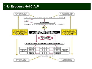 1.5.- Esquema del C.A.P.