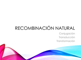 RECOMBINACIÓN NATURAL
Conjugación
Transducción
Transformación
 
