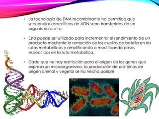 • La tecnología de DNA recombinante ha permitido que
secuencias específicas de ADN sean transferidas de un
organismo a otro.
• Esto puede ser utilizado para incrementar el rendimiento de un
producto mediante la remoción de los cuellos de botella en las
rutas metabólicas y amplificando o modificando pasos
específicos en la ruta metabólica.
• Dado que no hay restricción para el origen de los genes que
expresa un microorganismo, la producción de proteínas de
origen animal y vegetal se ha hecho posible
 