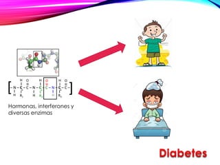 Hormonas, interferones y
diversas enzimas
 