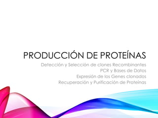 PRODUCCIÓN DE PROTEÍNAS
Detección y Selección de clones Recombinantes
PCR y Bases de Datos
Expresión de los Genes clonados
Recuperación y Purificación de Proteínas
 
