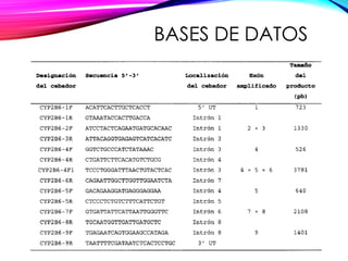 BASES DE DATOS
 