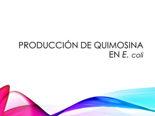 PRODUCCIÓN DE QUIMOSINA
EN E. coli
 