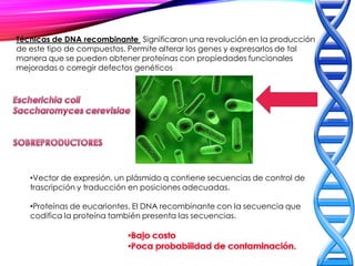 Técnicas de DNA recombinante Significaron una revolución en la producción
de este tipo de compuestos. Permite alterar los genes y expresarlos de tal
manera que se pueden obtener proteínas con propiedades funcionales
mejoradas o corregir defectos genéticos
•Vector de expresión, un plásmido q contiene secuencias de control de
trascripción y traducción en posiciones adecuadas.
•Proteínas de eucariontes. El DNA recombinante con la secuencia que
codifica la proteína también presenta las secuencias.
 