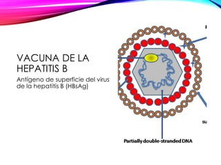 VACUNA DE LA
HEPATITIS B
Antígeno de superficie del virus
de la hepatitis B (HBsAg)
 