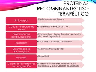 PROTEÍNAS
RECOMBINANTES: USO
TERAPÉUTICO
•Factor de necrosis tisular-α
Anticuerpos
•Interferones, Interleucinas , TNFCáncer y infecciones
virales
•Eritropoyetina, Hirudin, Uroquinsa, Activador
de plasminógeno tisular
Enfermedades
cardiovasculares
•Insulina, Hormona del crecimiento
Hormonas
•Endorfinas, NeuropéptidosEnfermedades
Neurológicas
•Hepatitis-B
Vacunas
•Factor de crecimiento epidermico, de
fibroblastos y factor VIII de la coagulación
Cicatrizantes y factores
de coagulación
 