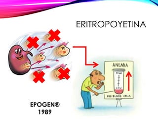 ERITROPOYETINA
EPOGEN®
1989
 