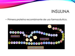 INSULINA
• Primera proteína recombinante de uso farmacéutico.
 