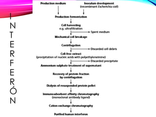 I
N
T
E
R
F
E
R
Ó
N
 