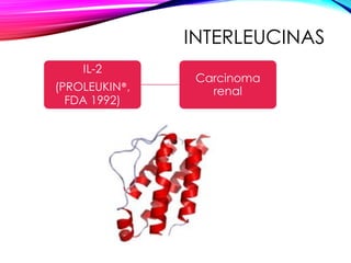 INTERLEUCINAS
IL-2
(PROLEUKIN®,
FDA 1992)
Carcinoma
renal
 