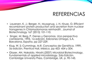 REFERENCIAS
• Lauersen, K. J.; Berger, H.; Mussgnug, J. H.; Kruse, O. Efficient
recombinant protein production and secretion from nuclear
transgenes in Chlamydomonas reinhardtii . Journal of
Biotechnology 167 (2013) 101-110.
• Singer, M; Berg, P. Genes y Genomas. Una perspectiva
cambiante. 1993, 1a edición, Ediciones Omega, S.A,
Barcelona, España. pp 227-229.
• Klug, W. S; Cummings, M.R. Conceptos de Genética. 1999,
5a edición, Prentice Hall, México. pp 453- 454 y 504.
• Glazer, AN. Nakaido, Hiroshi.(2007) Microbial Biotechnology.
Fundamentals of applied microbiology. 2da Edición.
Cambridge University Press. Cambridge, UK. p. 90-143.
 