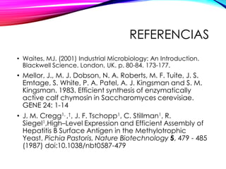 REFERENCIAS
• Waites, MJ. (2001) Industrial Microbiology: An Introduction.
Blackwell Science. London, UK. p. 80-84. 173-177.
• Mellor, J., M. J. Dobson, N. A. Roberts, M. F. Tuite, J. S.
Emtage, S. White, P. A. Patel, A. J. Kingsman and S. M.
Kingsman. 1983. Efficient synthesis of enzymatically
active calf chymosin in Saccharomyces cerevisiae.
GENE 24: 1-14
• J. M. Cregg1, ,†, J. F. Tschopp1, C. Stillman1, R.
Siegel1,High–Level Expression and Efficient Assembly of
Hepatitis B Surface Antigen in the Methylotrophic
Yeast, Pichia Pastoris, Nature Biotechnology 5, 479 - 485
(1987) doi:10.1038/nbt0587-479
 