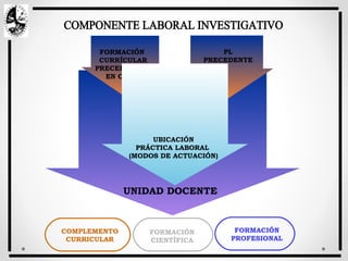 UNIDAD DOCENTE
FORMACIÓN
CURRÍCULAR
PRECEDENTE Y
EN CURSO
PL
PRECEDENTE
OBJETIVO
INTEGRADOR
DEL AÑO
UBICACIÓN
PRÁCTICA LABORAL
(MODOS DE ACTUACIÓN)
FORMACIÓN
CIENTÍFICA
FORMACIÓN
PROFESIONAL
COMPLEMENTO
CURRICULAR
 