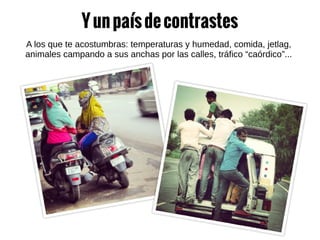Yunpaísdecontrastes
A los que te acostumbras: temperaturas y humedad, comida, jetlag,
animales campando a sus anchas por las calles, tráfico “caórdico”...
 
