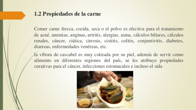 Las serpientes como remedio para la cura de enfermedades Las serpientes como remedio para la cura de enfermedades